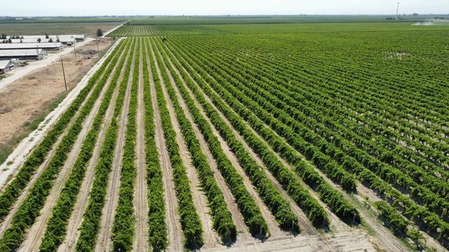1 S Plumas Avenue, Kerman, CA 93630