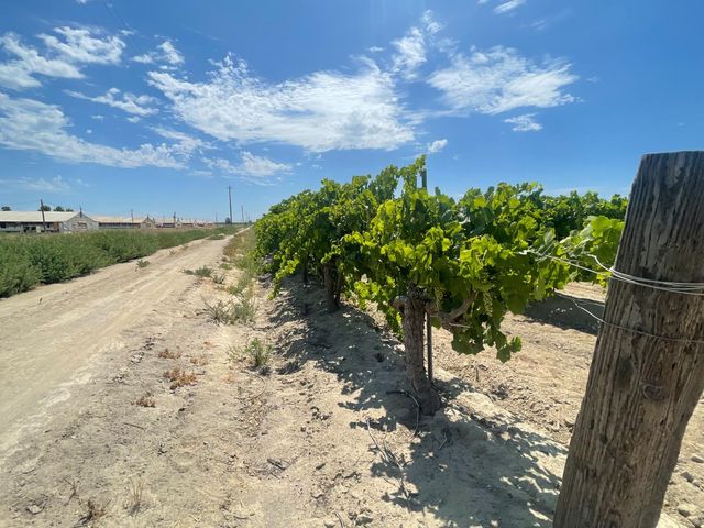 1 S Plumas Avenue, Kerman, CA 93630