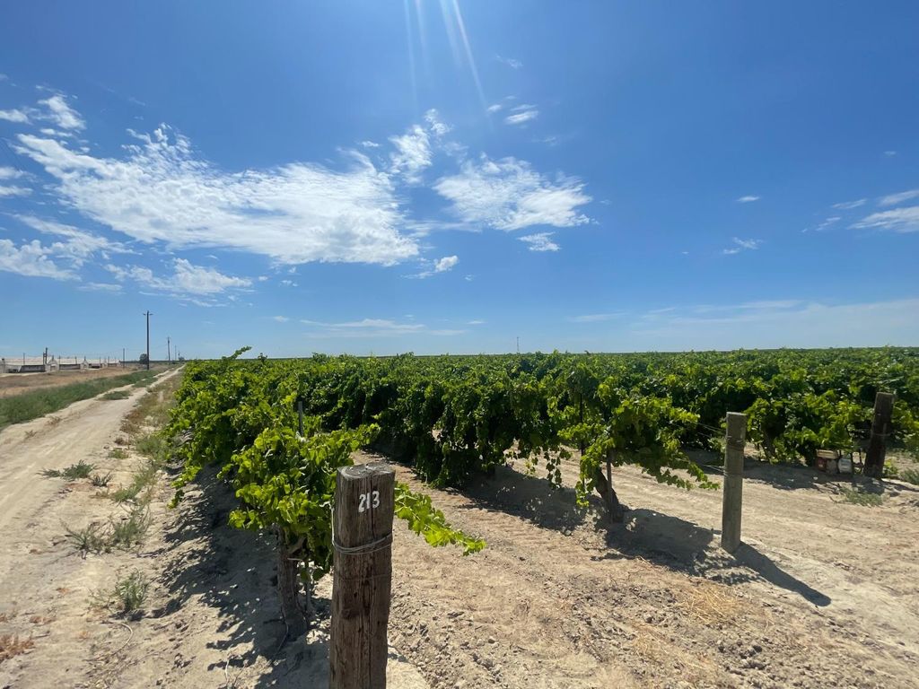 1 S Plumas Avenue, Kerman, CA 93630