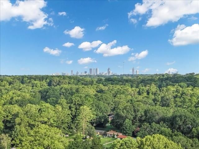 3042 Cottonwood Drive SE, Atlanta, GA 30316