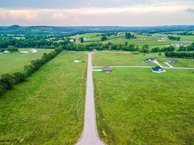 139 Bruce Meadows Dr, Beechgrove, TN 37018