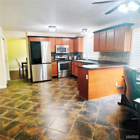 11630 Carolview Drive, Florissant, MO 63033