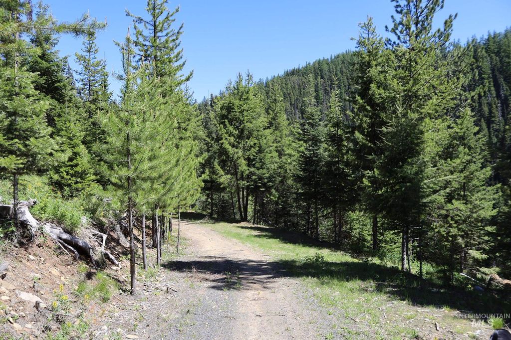 1391 Crooked River Road, Elk City, ID 83525 photo 21