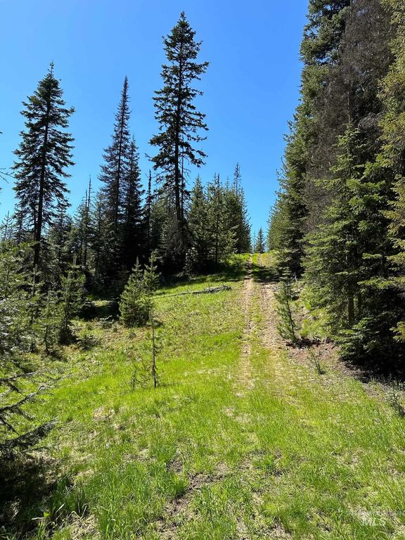 1391 Crooked River Road, Elk City, ID 83525 photo 23