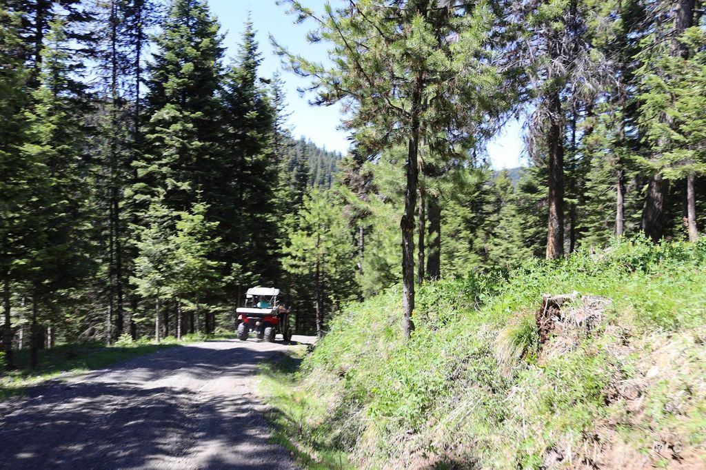 1391 Crooked River Road, Elk City, ID 83525 photo 25