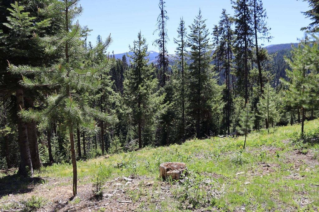 1391 Crooked River Road, Elk City, ID 83525 photo 26