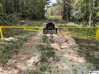 TBD Aloha Drive, Marion, SC 29571