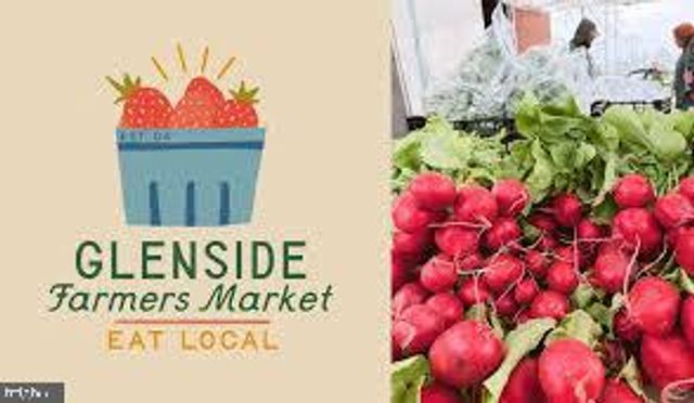 168 HARRISON AVE, Glenside, PA 19038