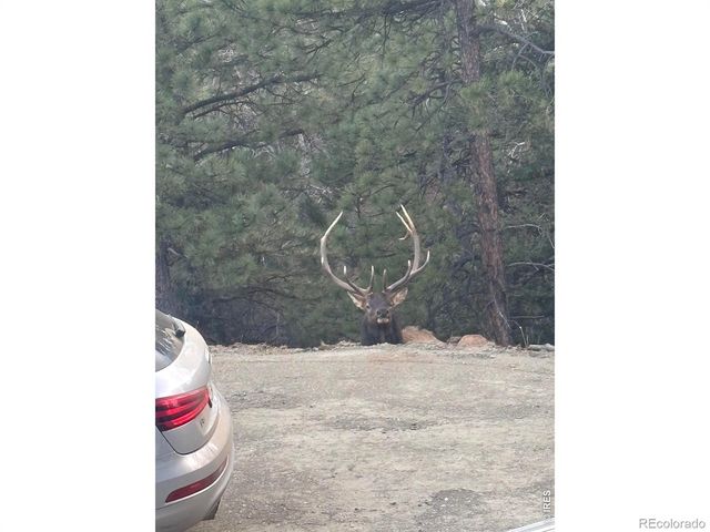 1406 Pika Road, Boulder, CO 80302