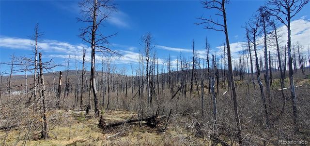 1588 Douglas Drive, Fort Garland, CO 81133