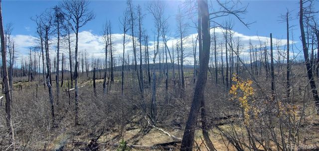 1588 Douglas Drive, Fort Garland, CO 81133