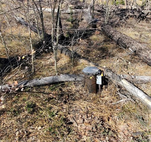 1588 Douglas Drive, Fort Garland, CO 81133