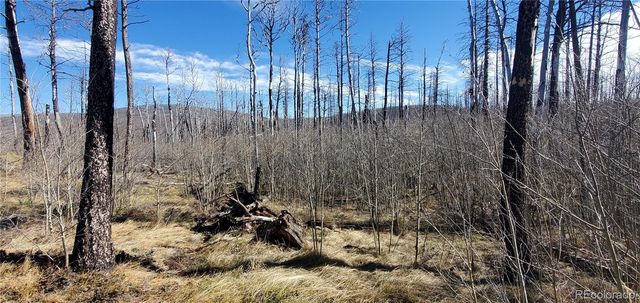 1588 Douglas Drive, Fort Garland, CO 81133