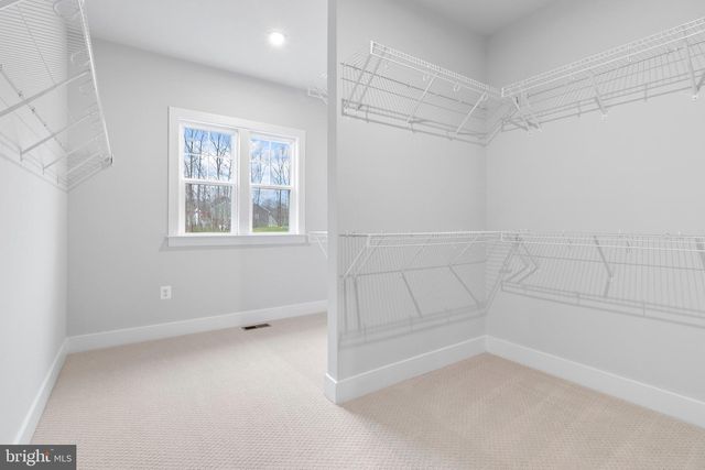 8618 SYCAMORE SPRINGS WAY, Nokesville, VA 20181