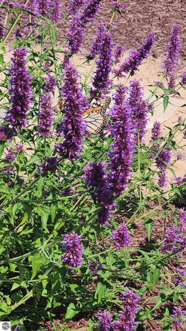 2082 S Mackinaw Trail, Cadillac, MI 49601