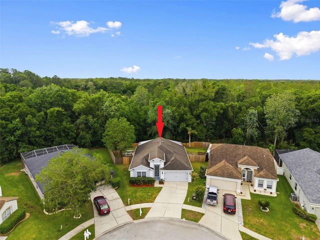 5419 SEATTLE SLEW DRIVE, Wesley Chapel, FL 33544