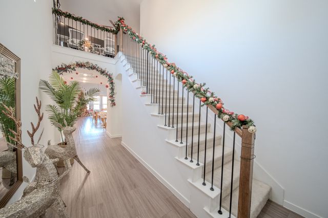 2804 Lolita Way, Forney, TX 75126