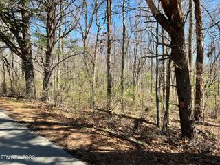 Beehive Lane, Crossville, TN 38555