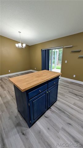2175 W Geer Place, Dunnellon, FL 34434