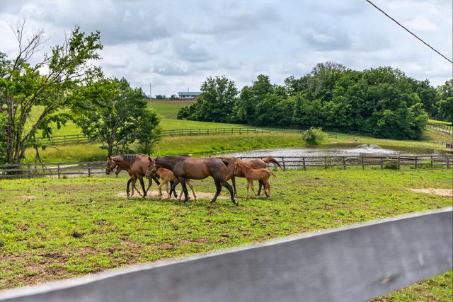 493 Levy Road, Paris, KY 40361