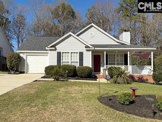 146 Firebridge Drive, Chapin, SC 29036
