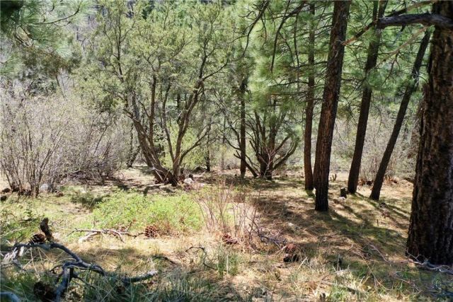 0 Villa Grove, Big Bear, CA 92314