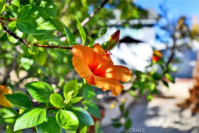 23561 Duryea Drive, Lake Forest, CA 92630