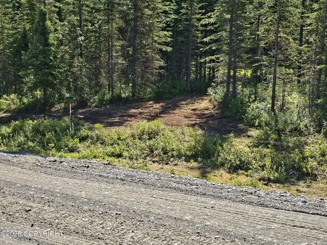 L9 Tolum Road, Kasilof, AK 99610