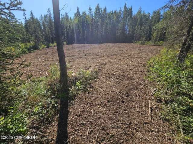 L9 Tolum Road, Kasilof, AK 99610
