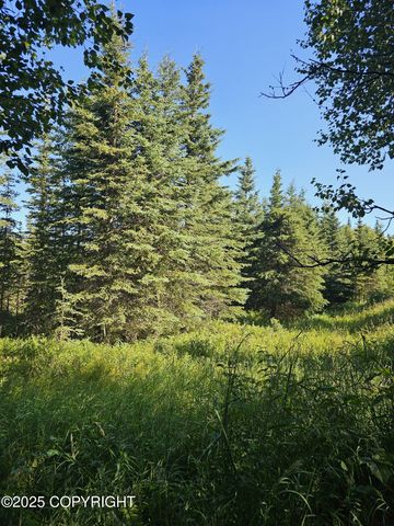 L9 Tolum Road, Kasilof, AK 99610