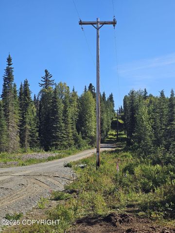 L9 Tolum Road, Kasilof, AK 99610