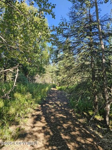 L9 Tolum Road, Kasilof, AK 99610