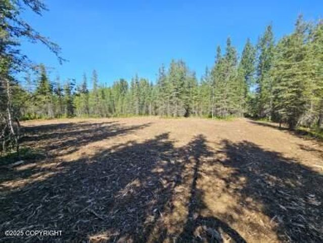L9 Tolum Road, Kasilof, AK 99610