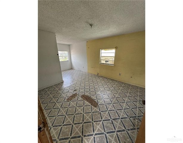 1035 Stensbo Avenue, Alamo, TX 78516