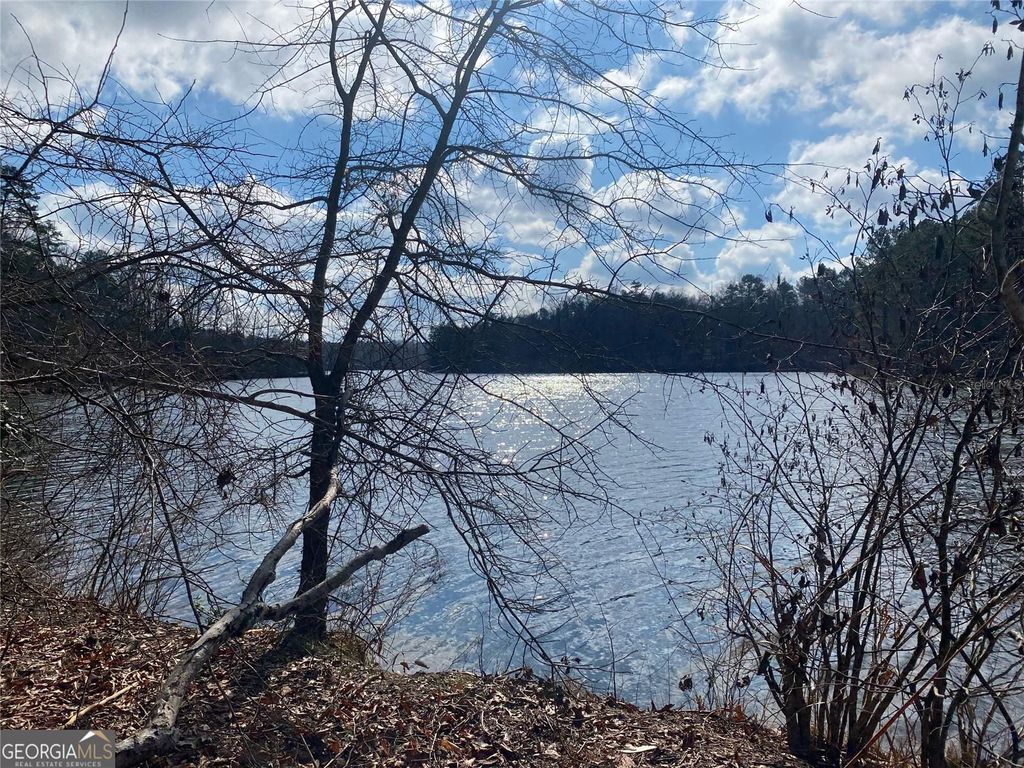 Image 1 of property listing at 0 GREGG SHOALS DRIVE, Elberton, GA 30635