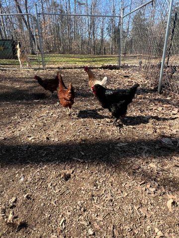 215 Old Log Lick Road, Winchester, KY 40391