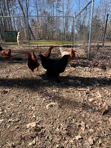 215 Old Log Lick Road, Winchester, KY 40391