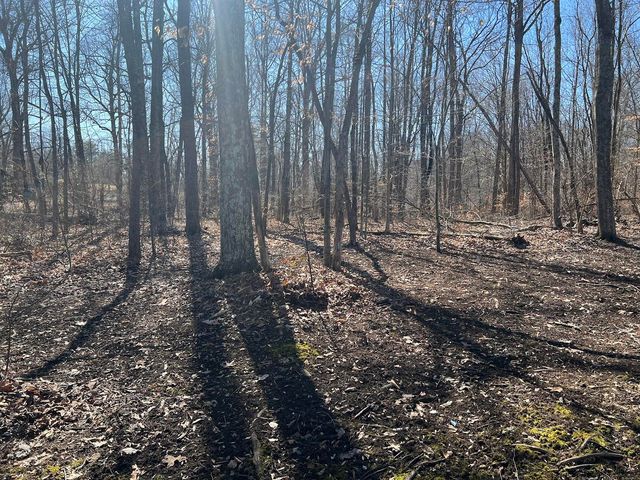 215 Old Log Lick Road, Winchester, KY 40391