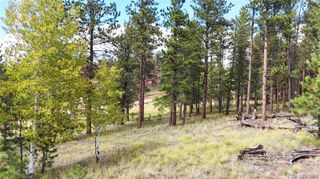 2265 Vagabond Creek Drive, Lake George, CO 80827