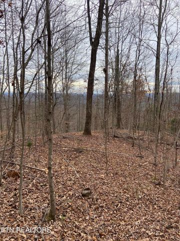 Timber Creek Rd, New Tazewell, TN 37825