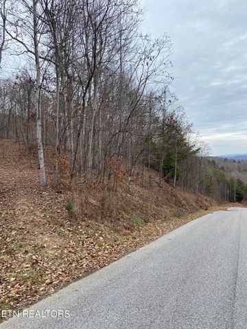 Timber Creek Rd, New Tazewell, TN 37825