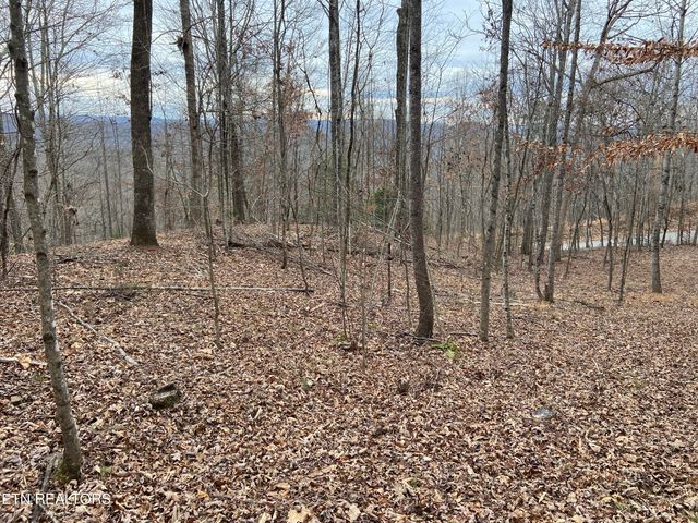 Timber Creek Rd, New Tazewell, TN 37825