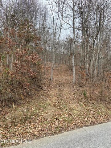 Timber Creek Rd, New Tazewell, TN 37825