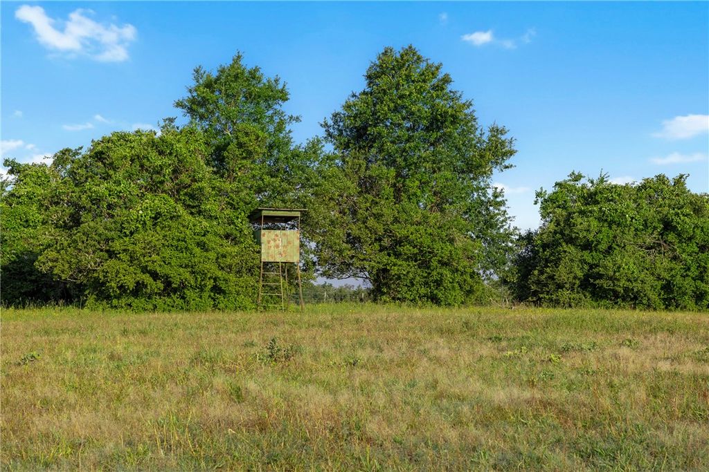 TBD Little Mississippi Cemetery Road, Franklin, TX 77856 — photo 4
