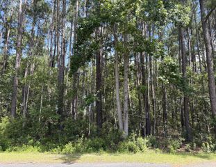 110 Rayland Circle, Walterboro, SC 29488