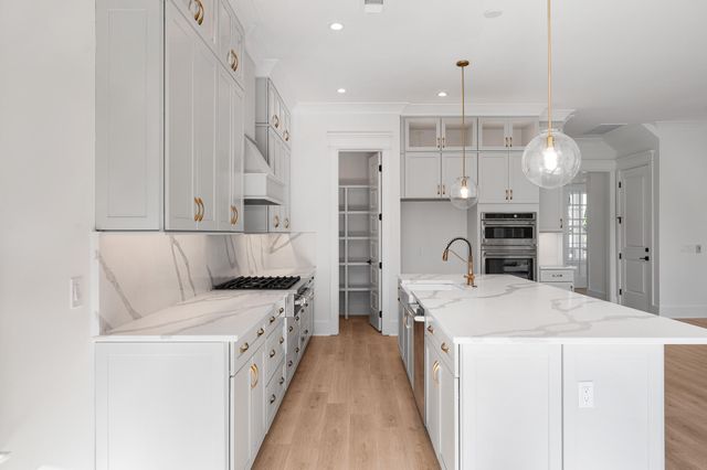 2511 Annie Aiden Lane, Charleston, SC 29414