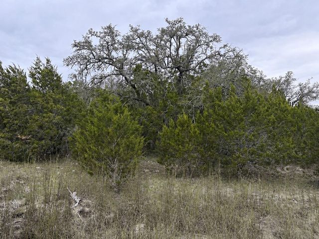 Lot 20E Overland Stage RD, Dripping Springs, TX 78620