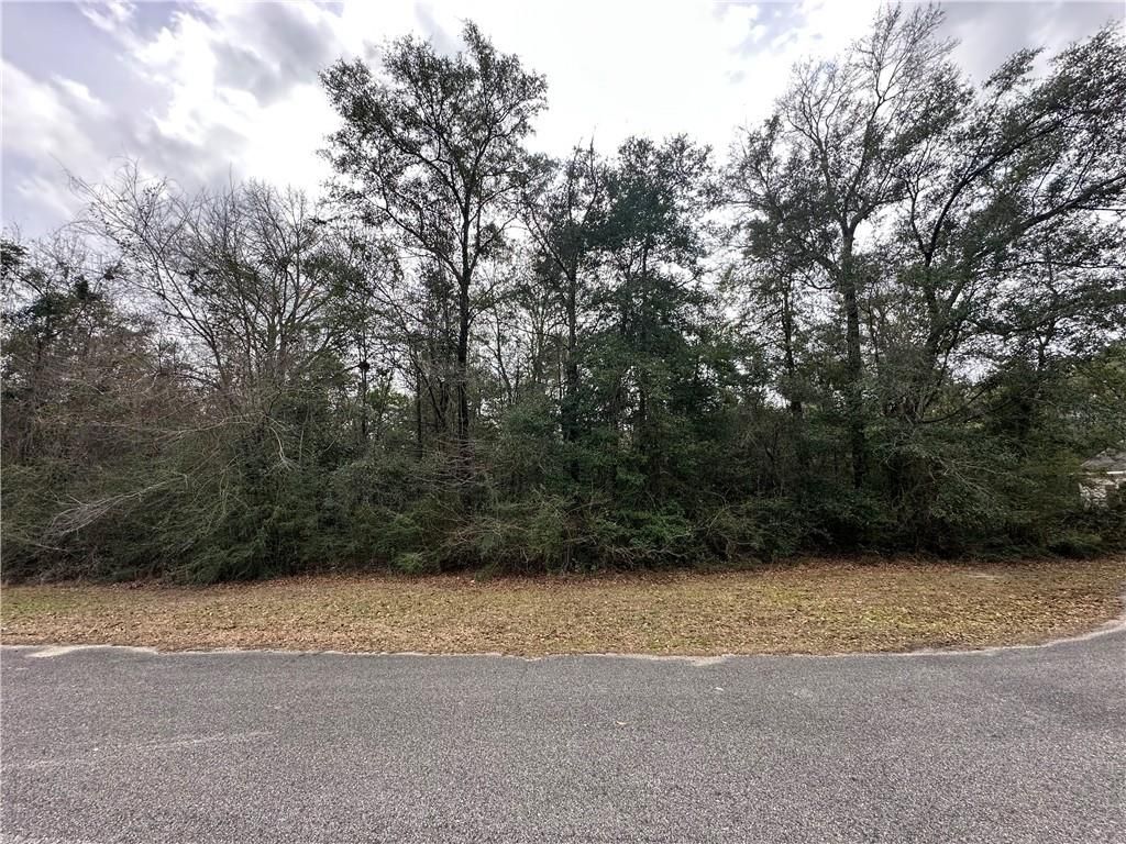 0 Timber Springs Drive, Wilmer, AL 36587 — exterior
