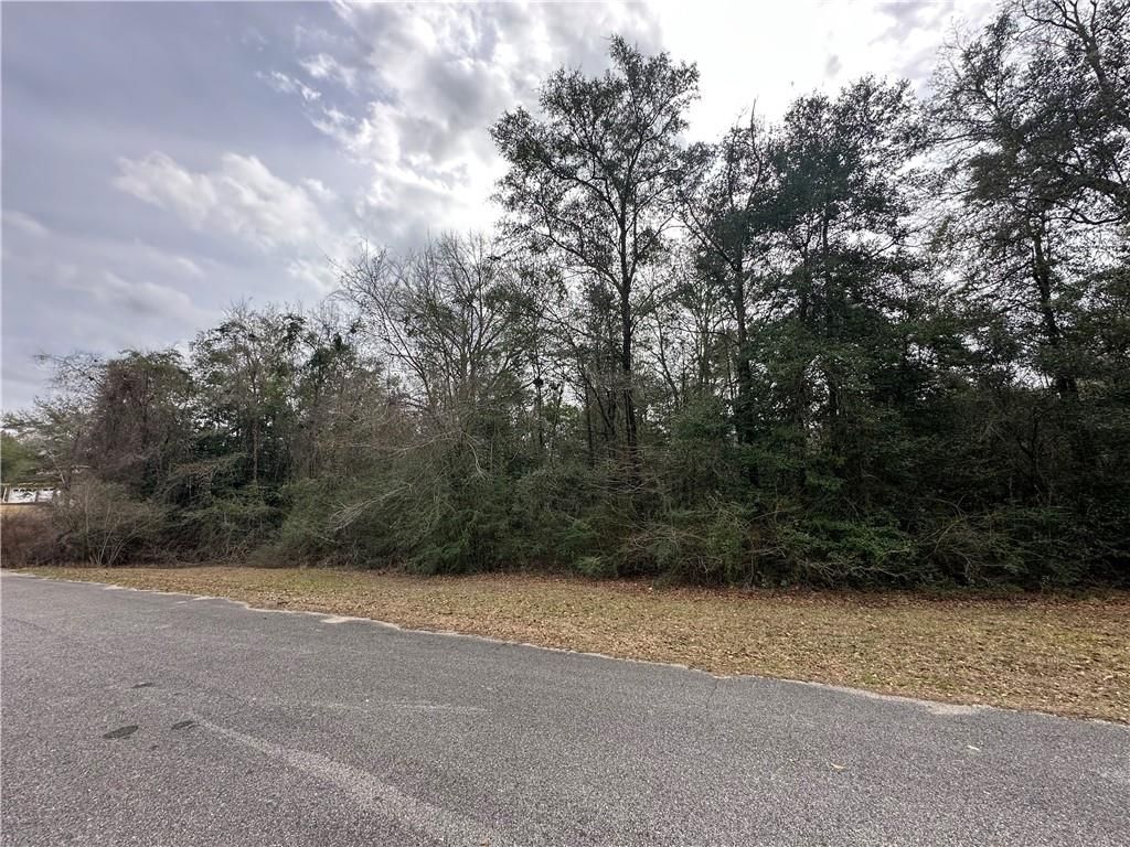 0 Timber Springs Drive, Wilmer, AL 36587 — photo 2