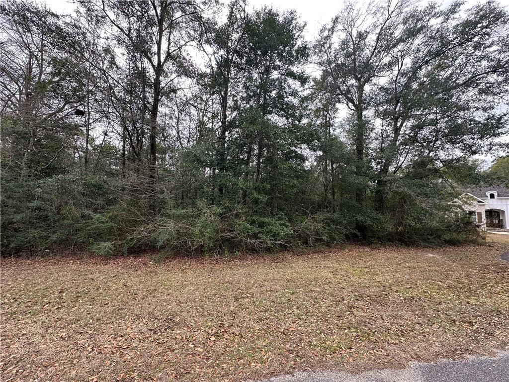 0 Timber Springs Drive, Wilmer, AL 36587 — photo 3